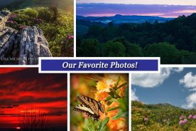 5485bd90-33e9-11e6-b5d6-129cbb969ec3-Collage_June17