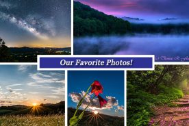 55c3f968-5d8e-11e7-beb8-0a5fbc963f88-Collage