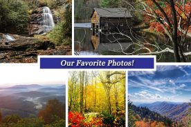 55c90176-9c71-11e6-bfd1-0aea2a882f79-Oct_28_collage