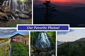 55ee7296-8378-11e7-9ab8-0a72cbefeab2-Collage