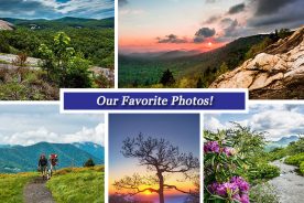 55f91e04-46f5-11e7-8e51-0aea2a882f79-Collage