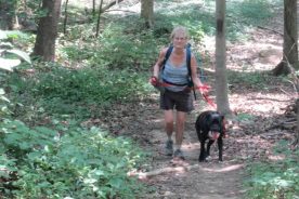 A girl and her dog, back in the woods together at last.