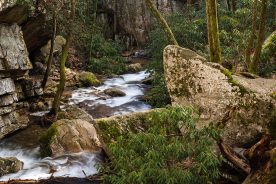 58cf7a60-a716-11ed-959a-12b3f1b64877-Flowing-Into-Forest