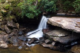 58faa6da-8d35-11ee-9b76-12163087a831-JTM_1337