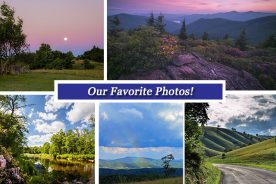 5a196664-67f3-11e7-abd4-0a5fbc963f88-Collage