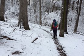 The Greatest Day Hiker heads up Mill Mountain on Christmas Day, 2020.