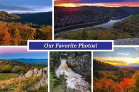 5ad0f92e-ba81-11e7-9324-121bebc5777e-Collage