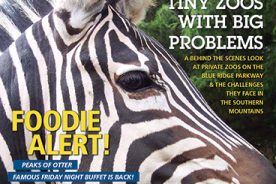 5b0ffd7c-c4a8-11e3-8022-1231380a02d9-01-BRCMJ14_Cover-4