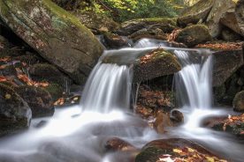 5b75c364-7112-11e6-98b0-0a53cdaf7da3-BooneFork.TommyWhite2