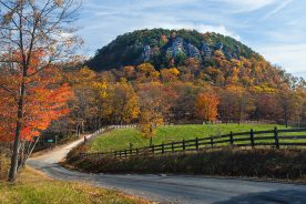 5b9e76e8-79c8-11ef-b1b0-12163087a831-hardy-landscape-_1_