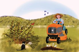 5c7f92ec-ea8e-11ed-8568-12163087a831-5