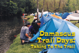 Damascus Days