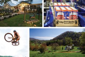 5d01dea6-4513-11e5-8d23-22000b078648-FallTrekBrewery