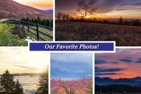 5e2a05d8-debb-11e4-b0c4-22000a4f82a6-Collage