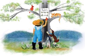 5e9882ba-580f-11ea-8b34-1244d5f7c7c6-3-20-rules