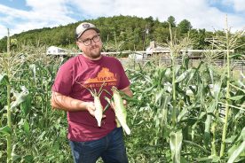 Trevor Saville contrasts corn grown normally (left ear) with some grown in a sustainable fashion through his drip irrigation method (right ear).