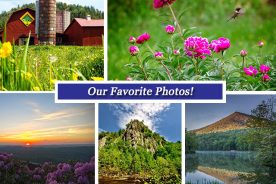 604c1ae6-fff8-11e4-be70-22000b078648-Collage