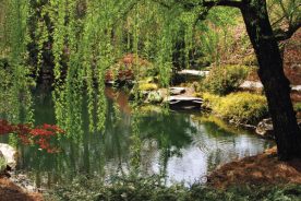 6089f59c-470c-11e8-b4eb-121bebc5777e-Gibbs-Garden