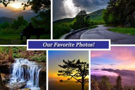 60e462c6-2bf2-11e5-9a0b-22000b078648-Collage