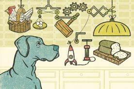 62169984-5a9e-11e7-b73e-0a5fbc963f88-clever_girl