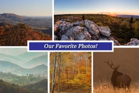 6282cb8c-a788-11e6-a3a4-0aea2a882f79-Collage