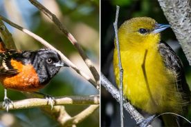 636b913e-d28e-11ea-8a46-1244d5f7c7c6-52B63420781C41D183328BAAD067DA5E