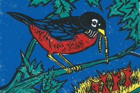 639a6dca-e3a5-11e4-86a9-22000a4f82a6-robin_nest