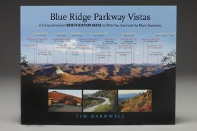 64207c4c-741b-11e5-b791-22000b078648-BarnwellBook