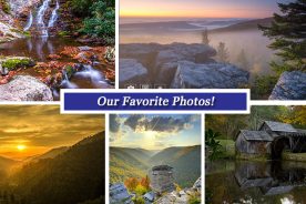 647bd474-bd8b-11e6-8015-0aea2a882f79-Collage