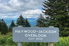 654ea830-f2b8-11ee-b686-12163087a831-haywood-jackson-ViewFromAlove