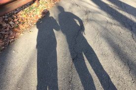 Shadows on the Mill Mountain Loop Road.