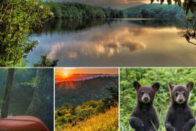 65c5a53a-0e7e-11e4-a5c4-22000a4f82a6-Fbook_photos_week_11