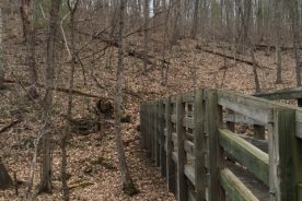 667a2b38-e9f9-11e5-983f-22000b078648-CobblerMountainTrail-Bridge