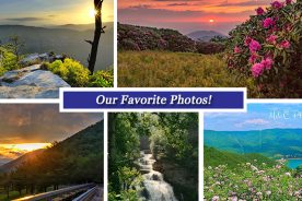 6713d218-4c79-11e7-972c-0aea2a882f79-Collage