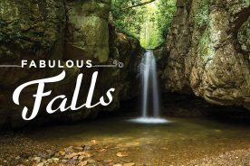 This is the second of four waterfalls known as “Blue Hole Falls” in the Cherokee National Forest near Elizabethton, Tennessee. Only this one and the third are readily accessible.