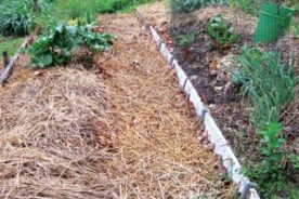 The finished path banishes weeds and is soft underfoot; a joy, if not forever, at least for a season.