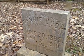 6b42fb3a-d1fd-11e6-8a8e-0aea2a882f79-CuriosVannieCook