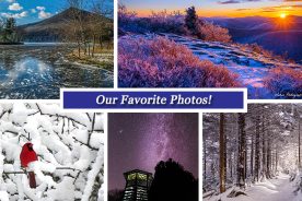 6b4e5100-d682-11e5-a530-22000b078648-Collage