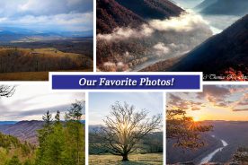 6b5e8294-0513-11e7-bb20-0aea2a882f79-Collage