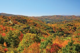 This view, looking south from Bluff Mountain, is of the North Carolina section of the Blue Ridge Parkway near Alligator Rocks.