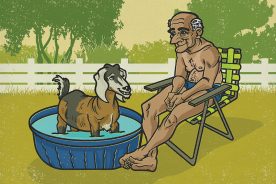 6ced09cc-ccda-11ea-8289-1244d5f7c7c6-Man_Goat