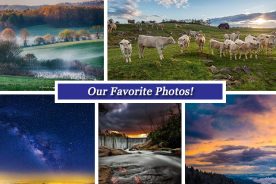 6d546382-0d68-11e6-bb9a-22000b078648-Collage