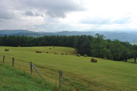 The Woodruff farm, split in two by the Blue Ridge Parkway at milepost 240.