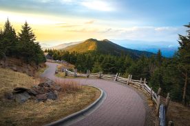 6e3aa4a4-6f9e-11ef-a6e7-12163087a831-AdobeStock_481930378