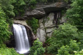 70bbd2ac-e60e-11e5-89b9-22000b078648-BuckSpringHike