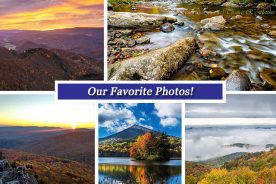 7188fa54-7375-11e5-a010-22000b078648-Collage