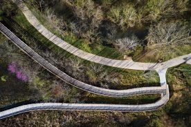 Drone view shows the Wetland Boardwalk at the Greenbelt’s Indian Trail Drive Trailhead.