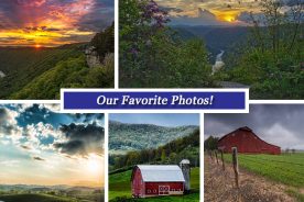 73043b5c-186e-11e6-836d-0afd25393cb5-Collage