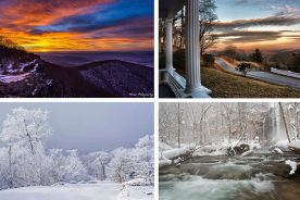 73360624-b2bb-11e4-b582-22000a4f82a6-Collage