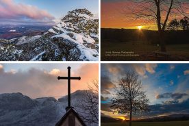 74610a7c-977b-11e4-b3bf-22000a4f82a6-Collage